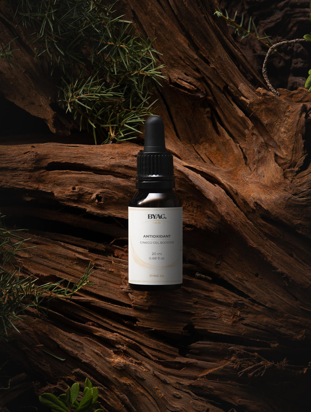 BYAG. Antioxidativer Ginkgo Gel-Booster – Produktbild 15